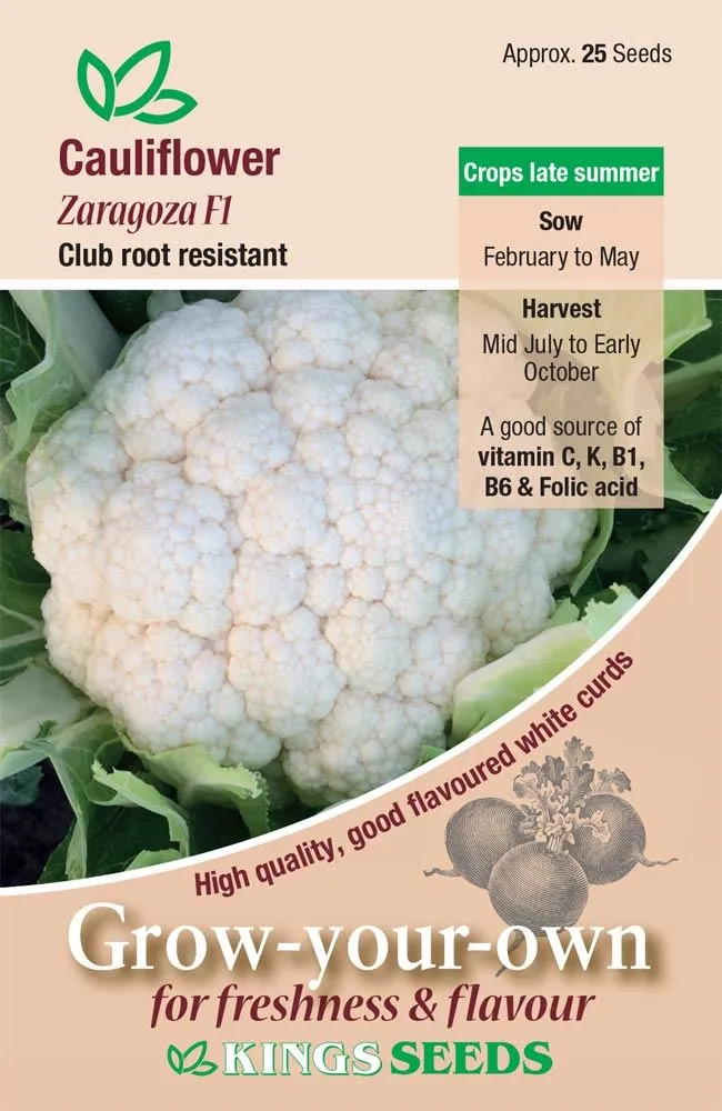 Kings Seeds  Cauliflower Zaragoza F1 Seeds