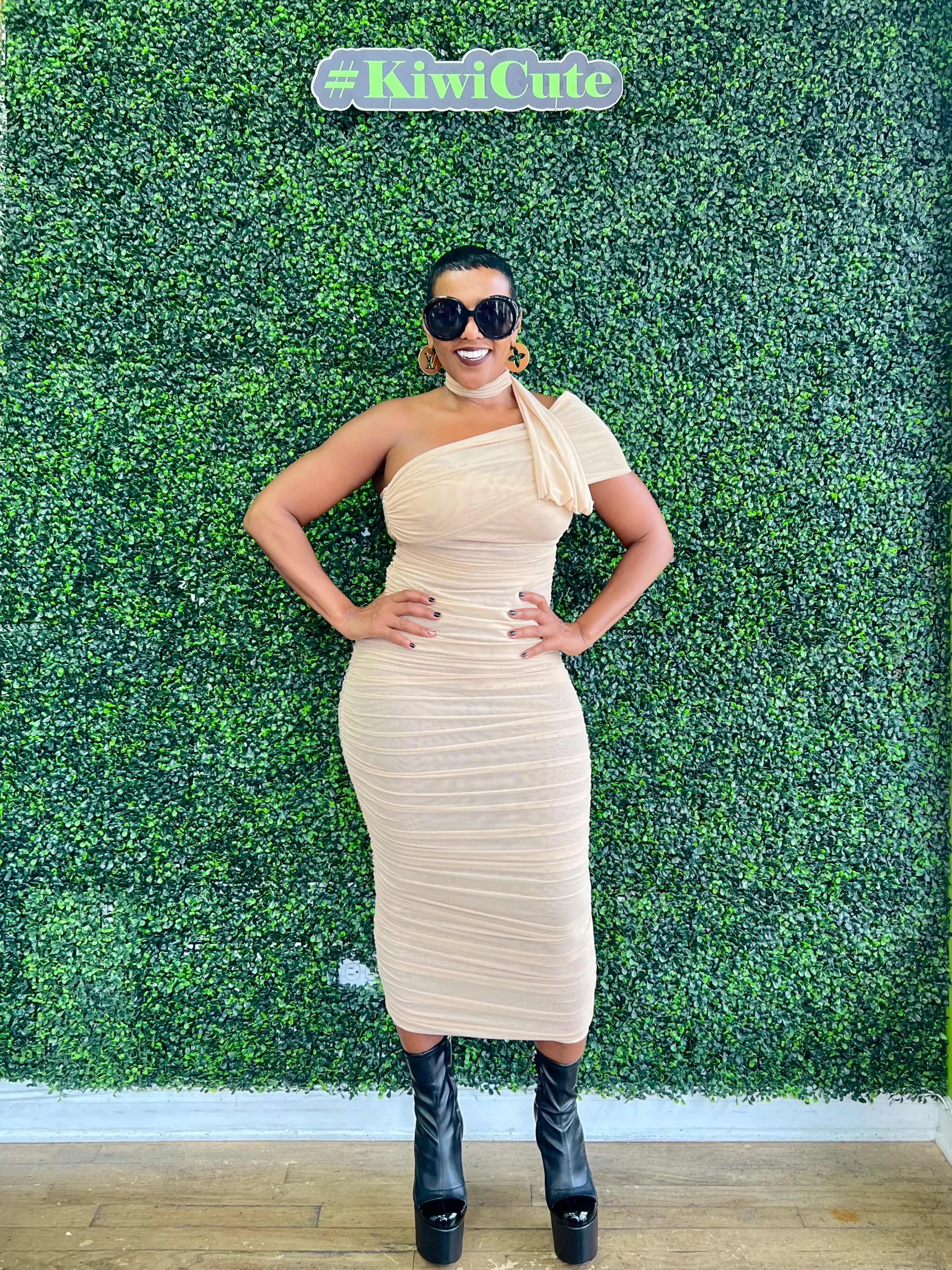 Lavina Shear Dress