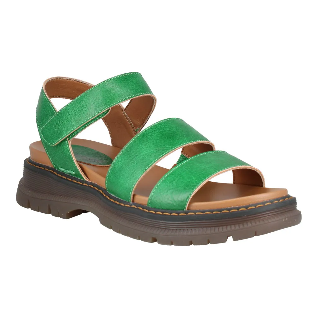 Wesrland 769528 Peyton 08 780 600 Green